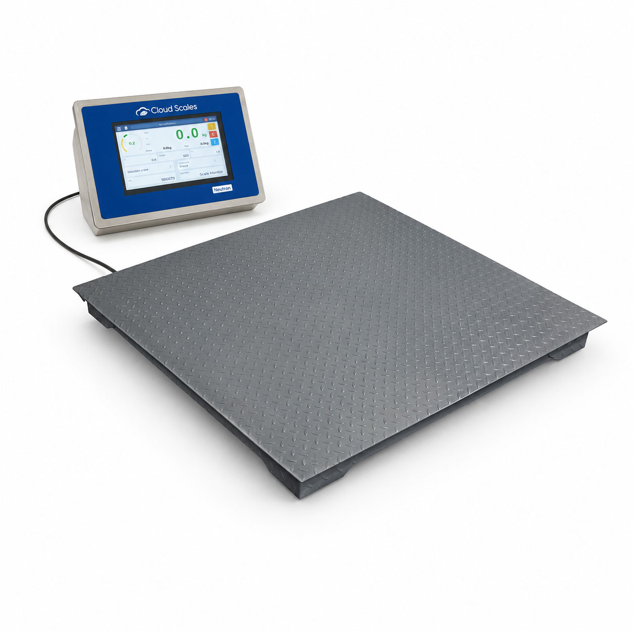 Smart industrial floor scale with Neutron NT - FKN-NT