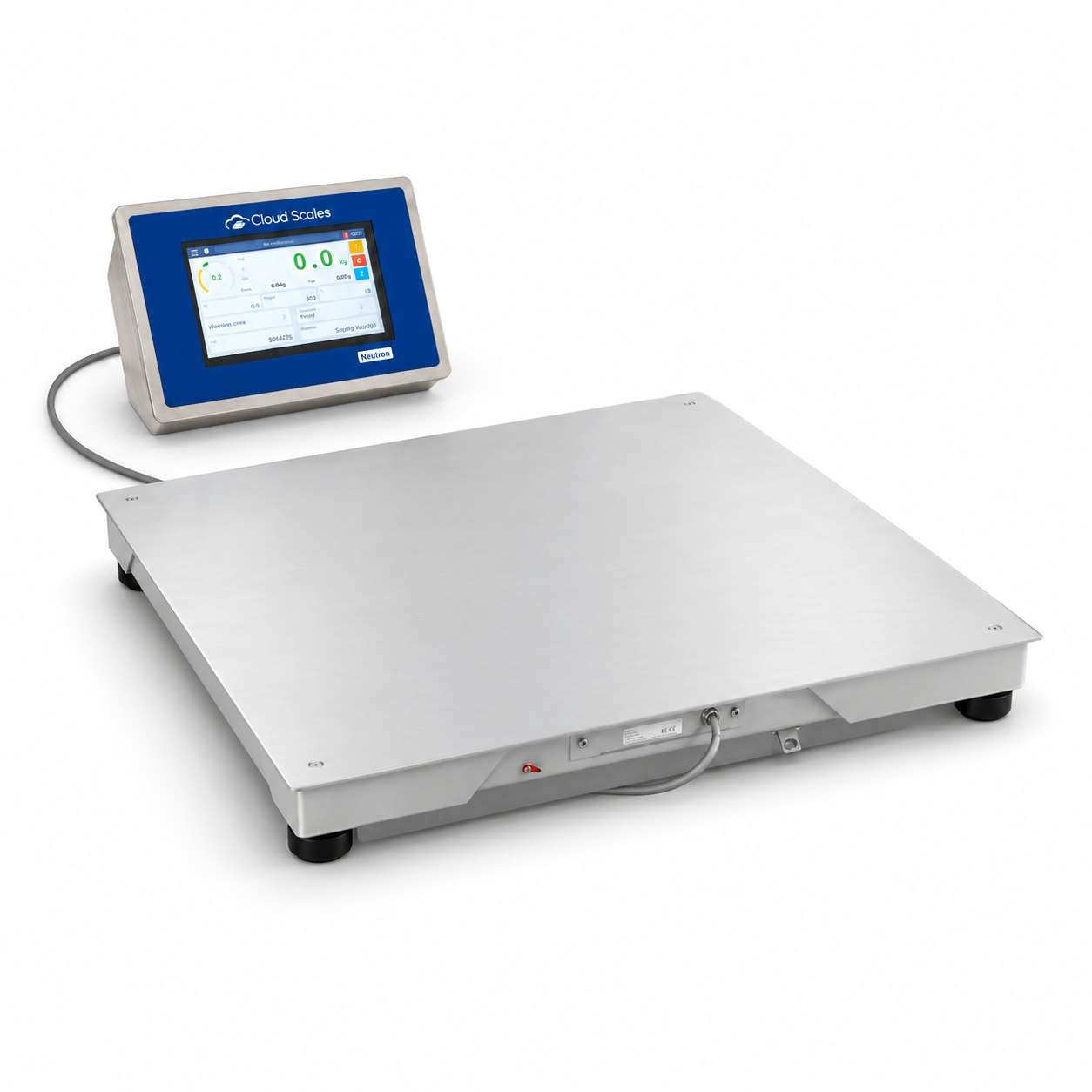 Smart stainless steel floor scale with Neutron NT - FDN-NT